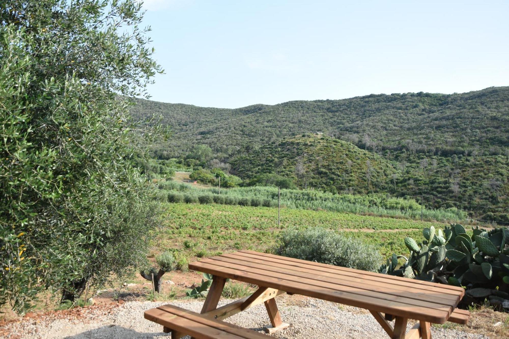Elba Borgo Di Latrano Apartment Magazzini  Exterior foto